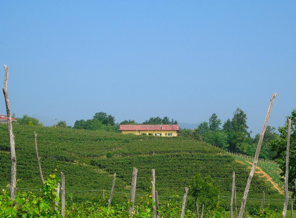 Agriturismo Turina Bricherasio 外观 照片