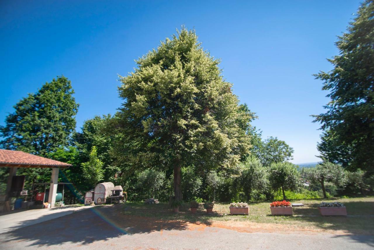 Agriturismo Turina Bricherasio 外观 照片